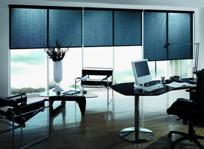 Office Blinds Photograph